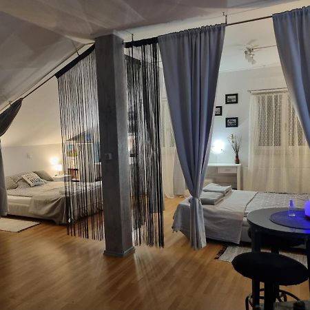 קארלובץ Apartman Atelier מראה חיצוני תמונה