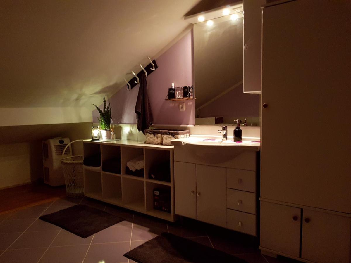 קארלובץ Apartman Atelier מראה חיצוני תמונה