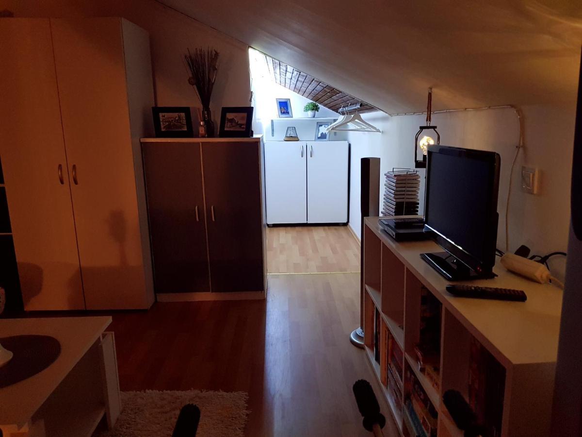 קארלובץ Apartman Atelier מראה חיצוני תמונה