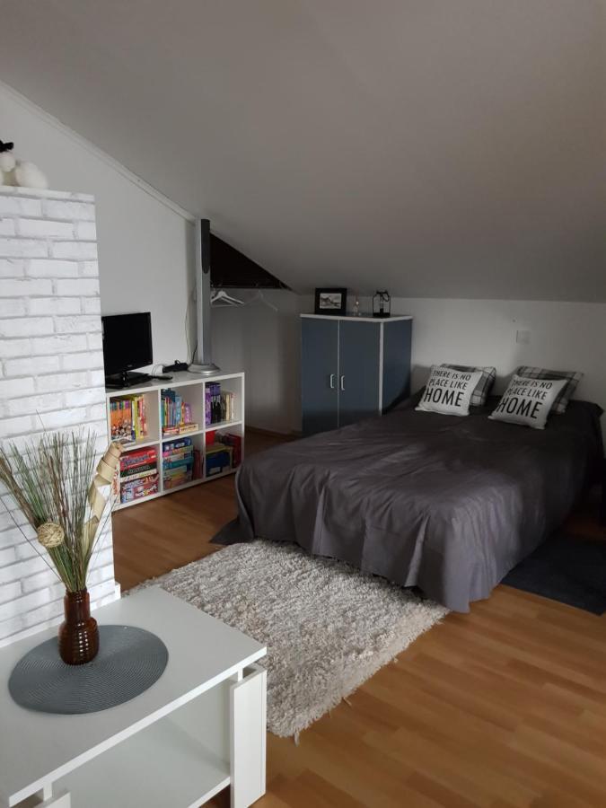 קארלובץ Apartman Atelier מראה חיצוני תמונה