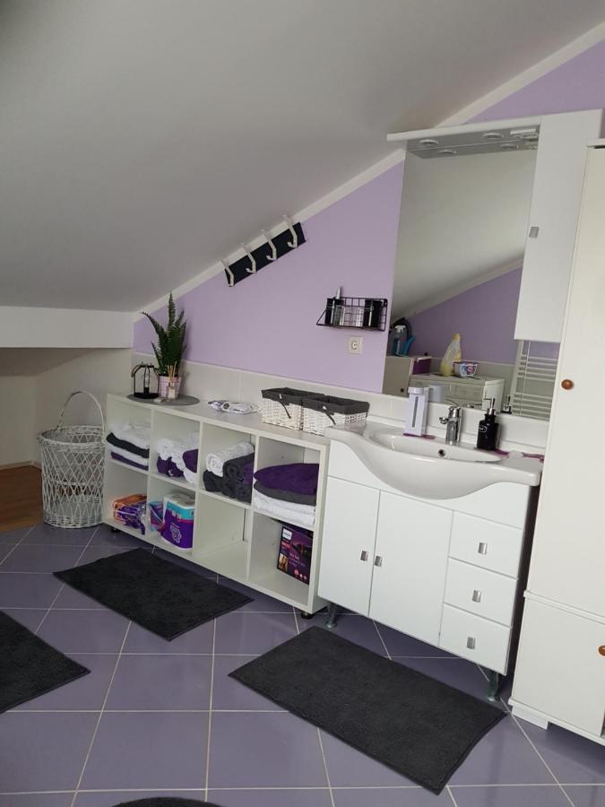 קארלובץ Apartman Atelier מראה חיצוני תמונה