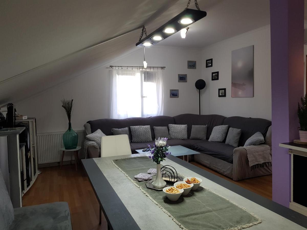 קארלובץ Apartman Atelier מראה חיצוני תמונה