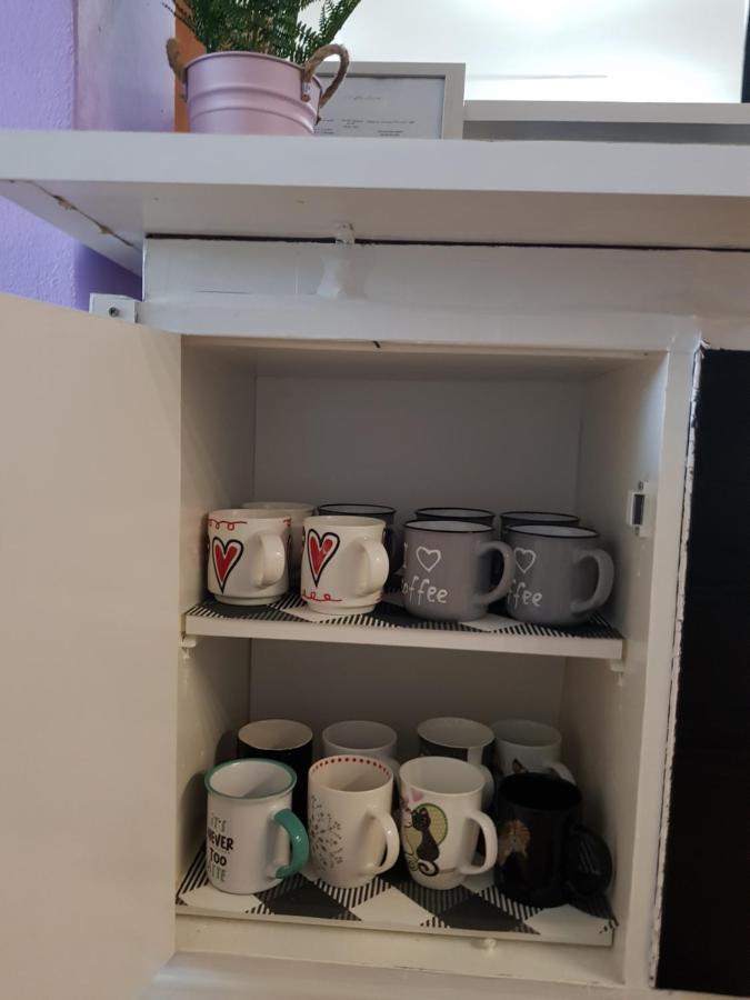 קארלובץ Apartman Atelier מראה חיצוני תמונה