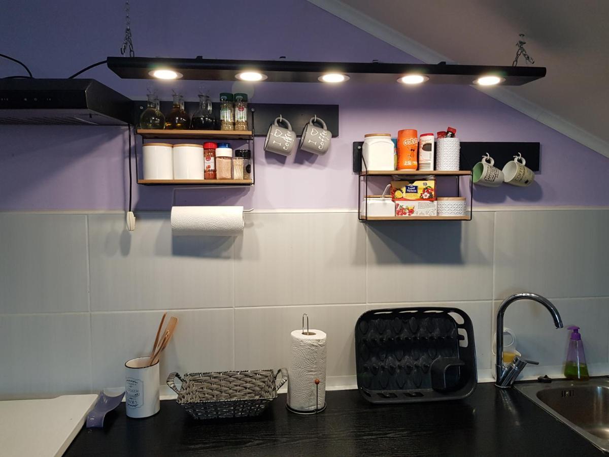 קארלובץ Apartman Atelier מראה חיצוני תמונה