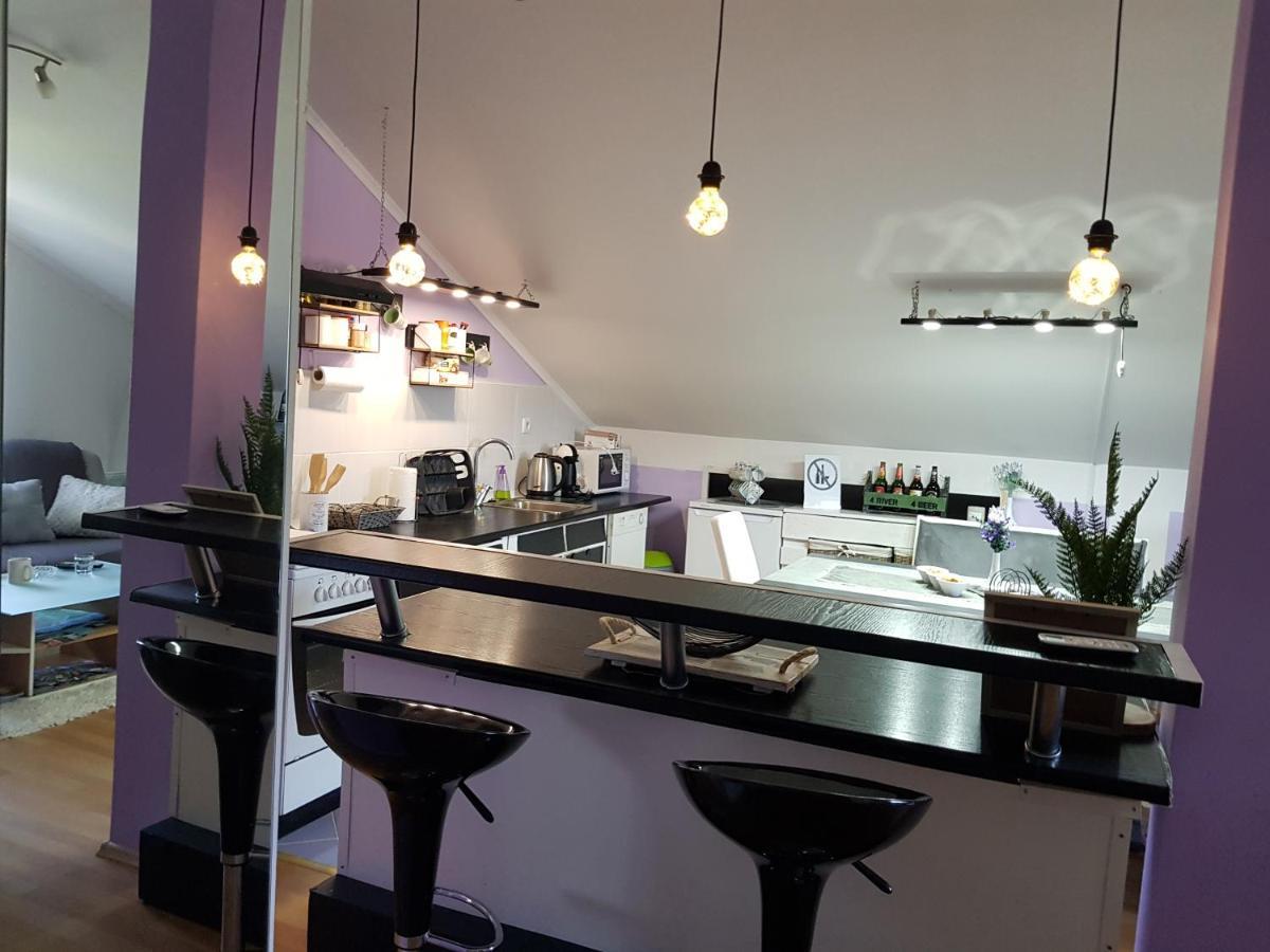 קארלובץ Apartman Atelier מראה חיצוני תמונה