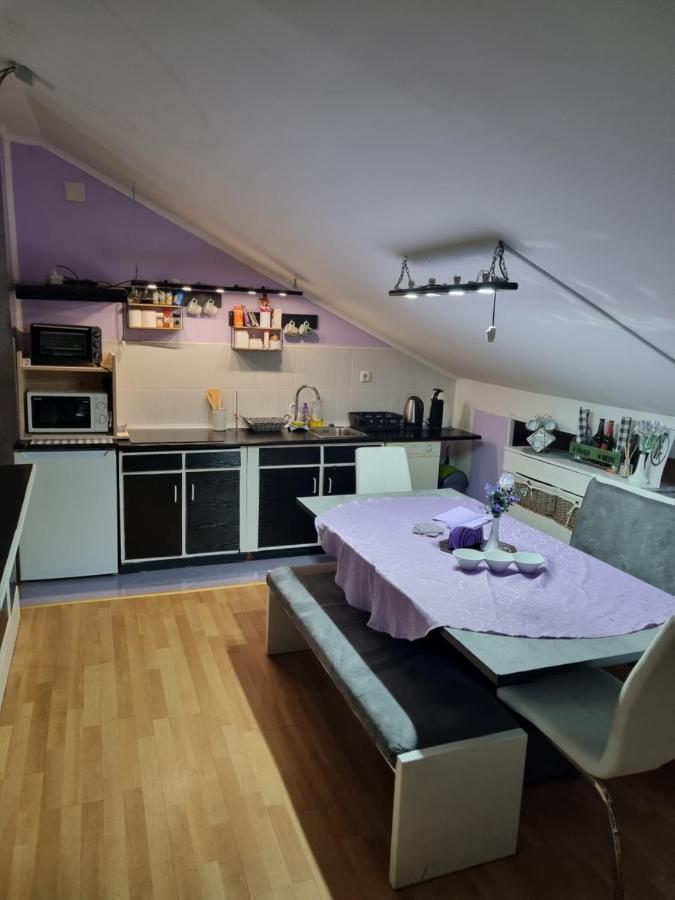 קארלובץ Apartman Atelier מראה חיצוני תמונה