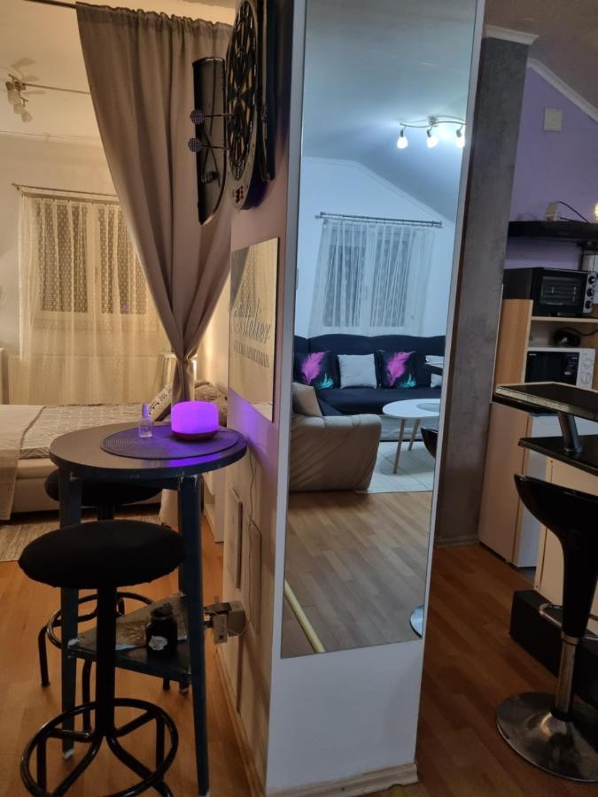 קארלובץ Apartman Atelier מראה חיצוני תמונה