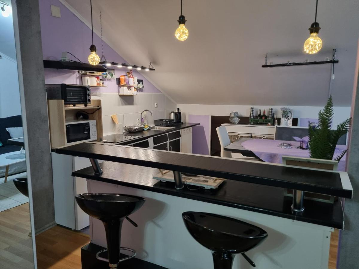 קארלובץ Apartman Atelier מראה חיצוני תמונה